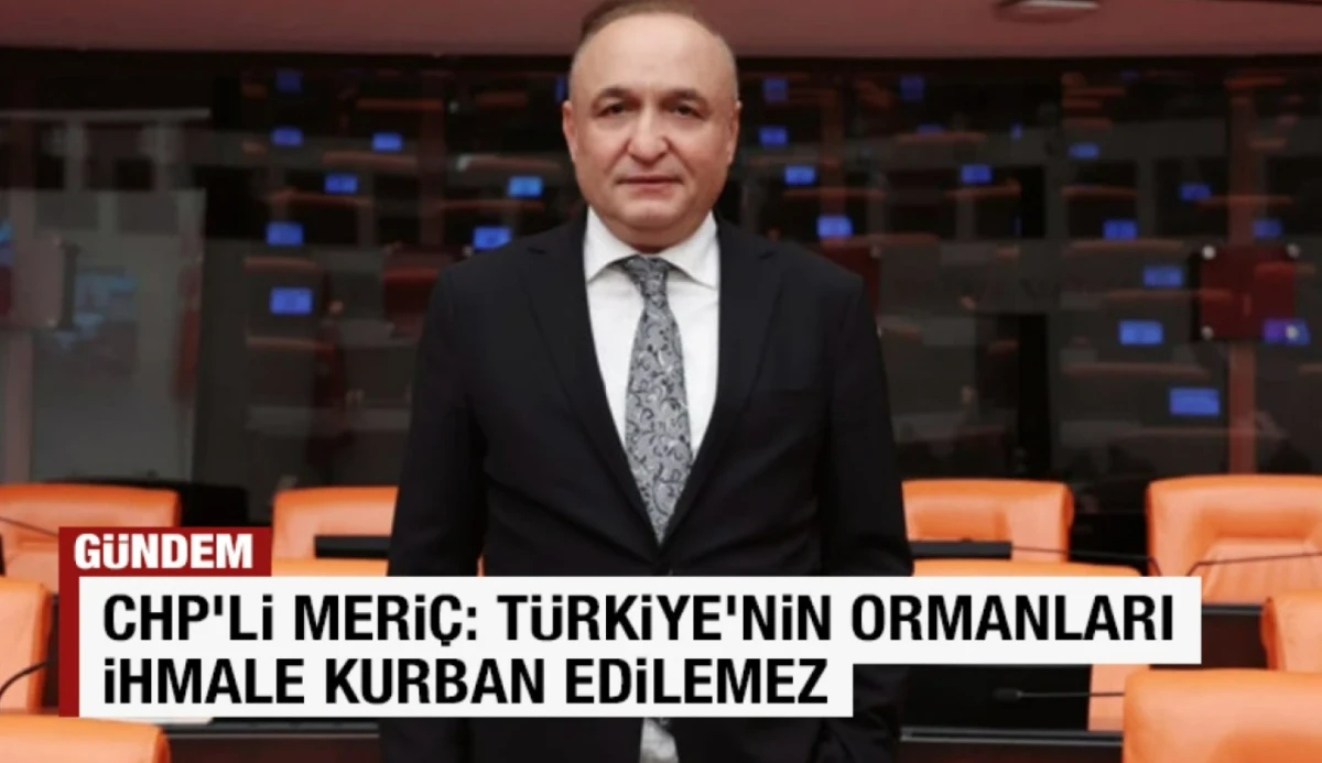 CHP’li Meriç: Türkiye’nin ormanları ihmale kurban edilemez