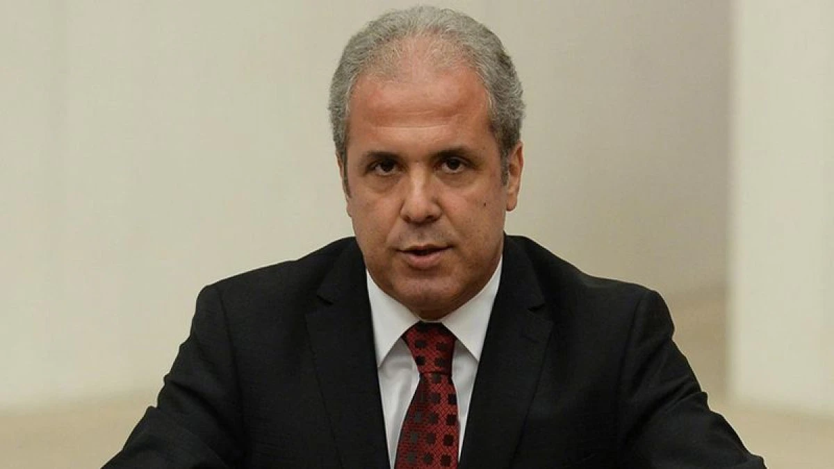 Şamil Tayyar'dan ilginç Can Holding sözleri! Devamı gelirse Türkiye bağırsaklarını temizler